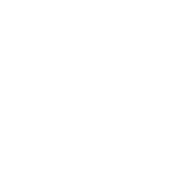 Comisión de Libertad de Expresión